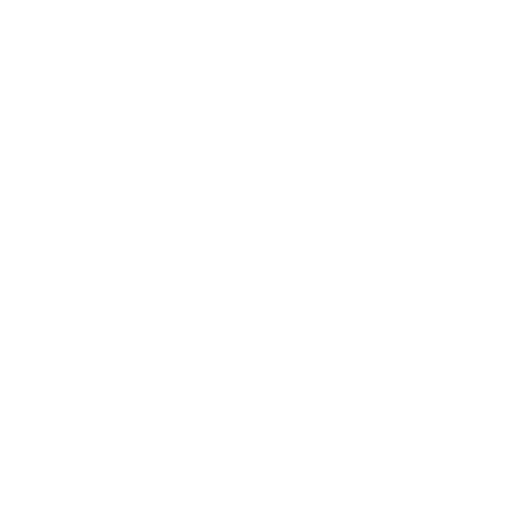Guanaqueros